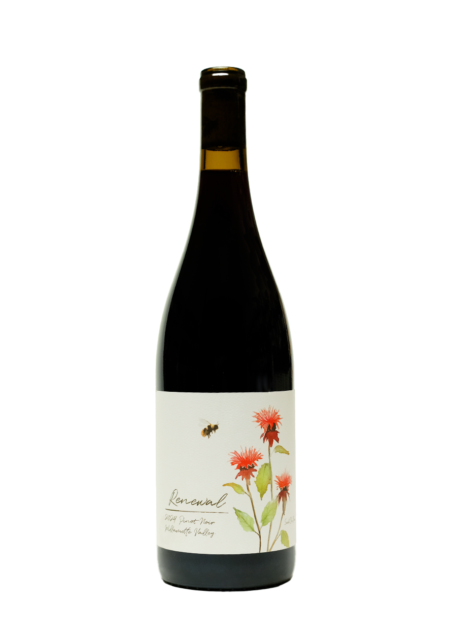 Brooks Renewal 2024 Pinot Noir Willamette Valley – Revel Wine