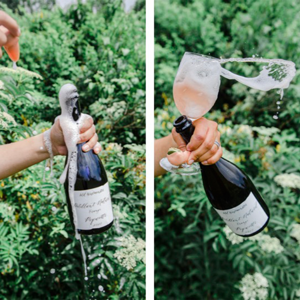 Pop! Your Complete Guide To Sparkling Wine Revel Wine