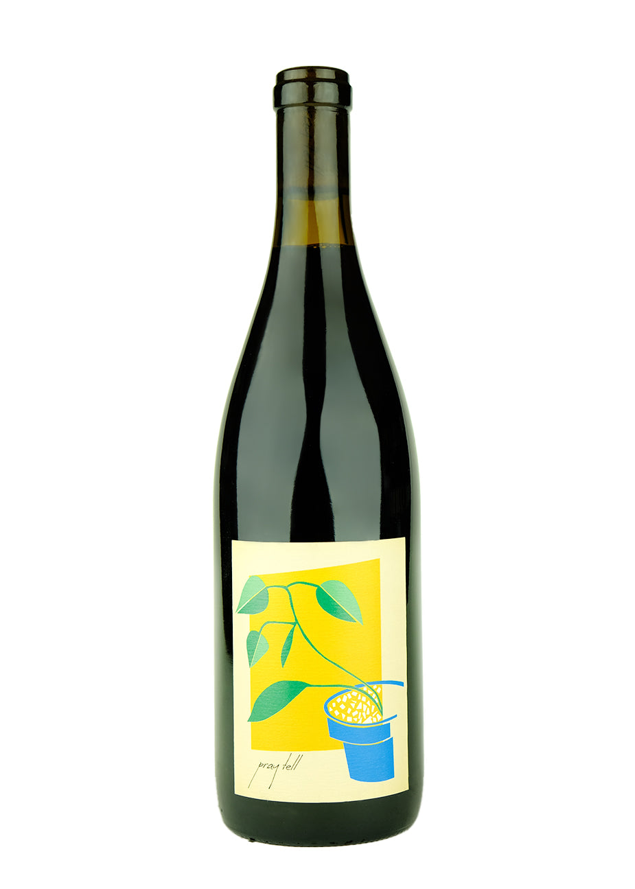 Pray Tell 2021 Pinot Noir Willamette Valley